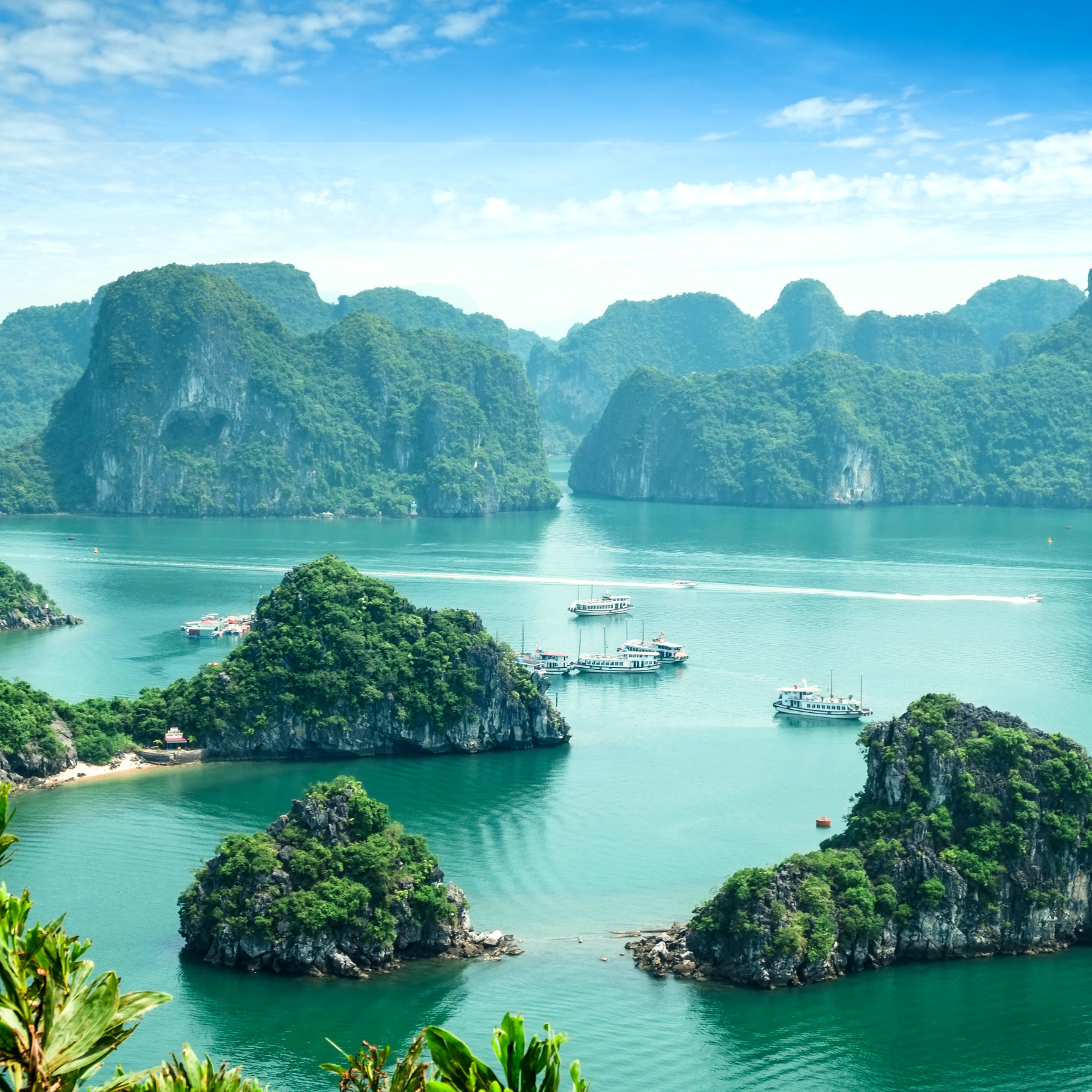Quand partir au Vietnam et que visiter ?