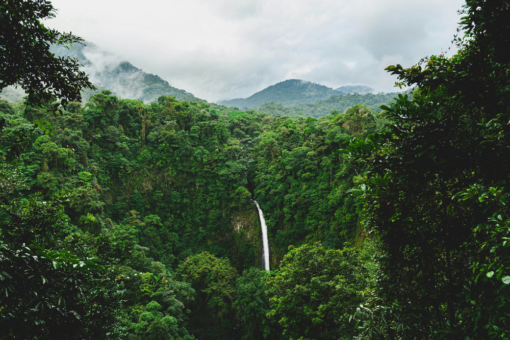Itinéraire personnalisé Costa Rica