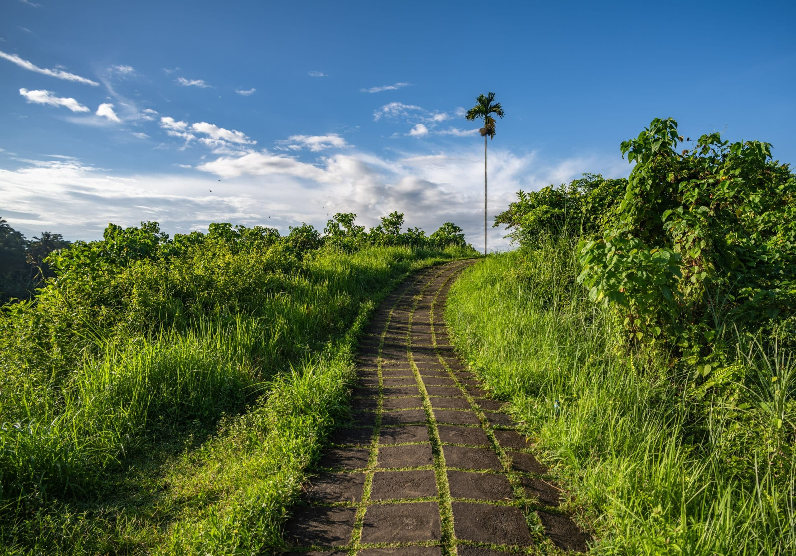 Escapade Romantique à Bali