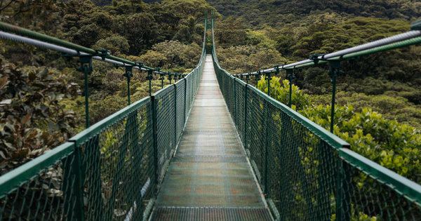 Faut-il vraiment inclure Monteverde dans votre voyage au Costa Rica ?