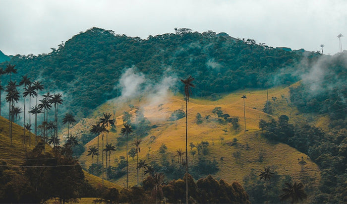 Colombie