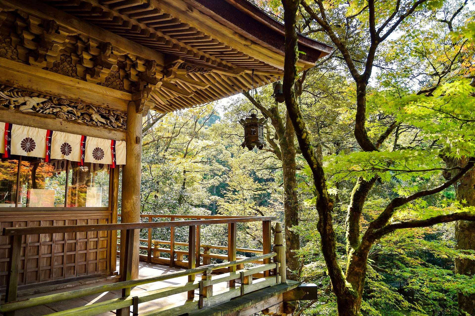 Séjour au Japon