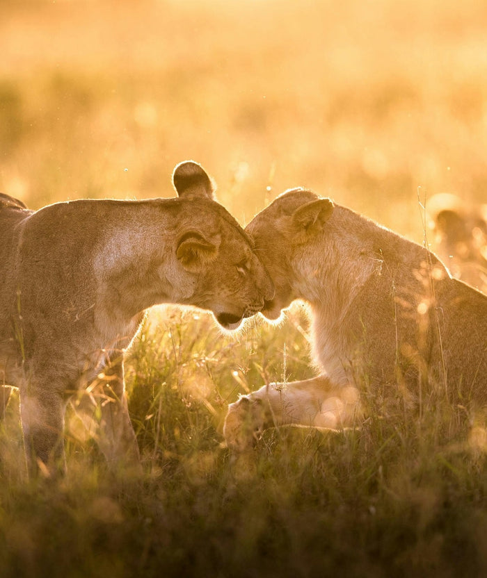 Kenya