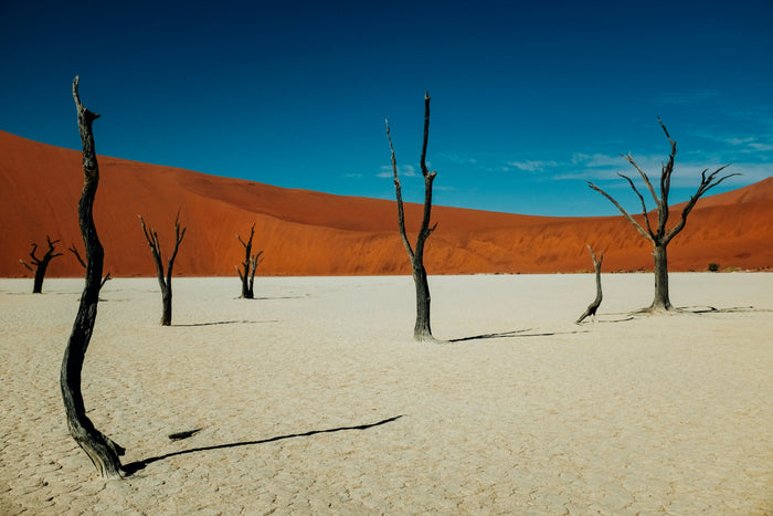 Namibie