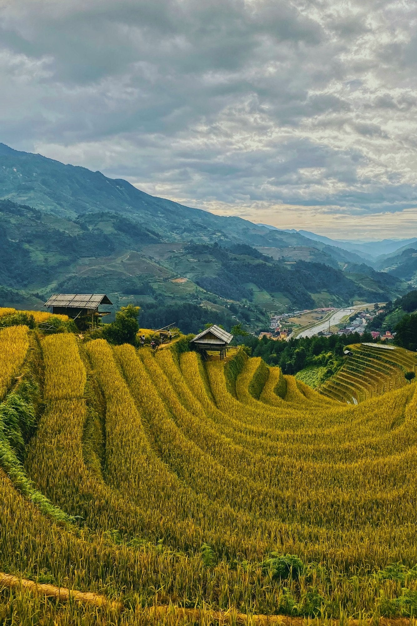 Rizières en terrasses, Vietnam, voyage sur mesure