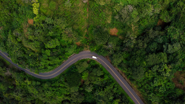 Route à travers la jungle du Costa Rica