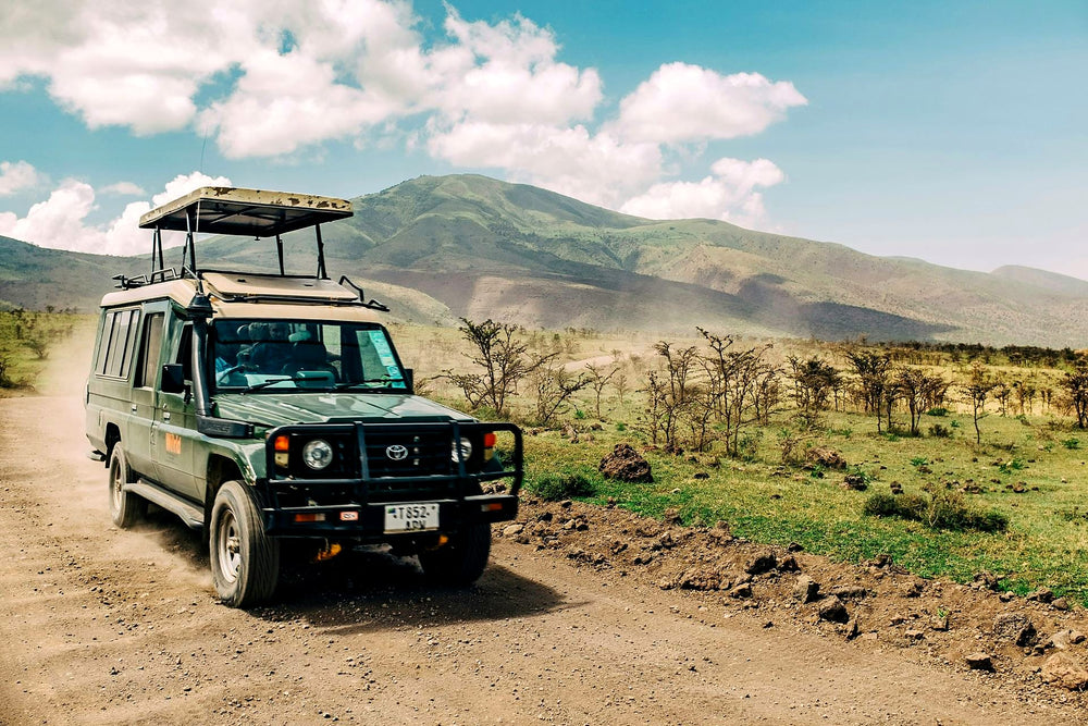 Itinéraire personnalisé Tanzanie