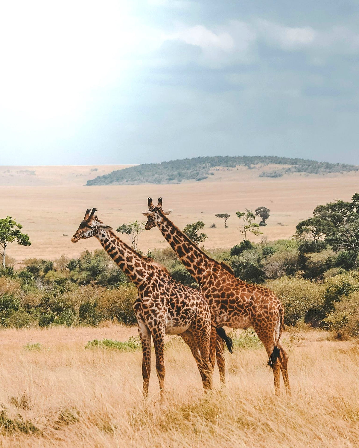 Voyage sur mesure en Tanzanie