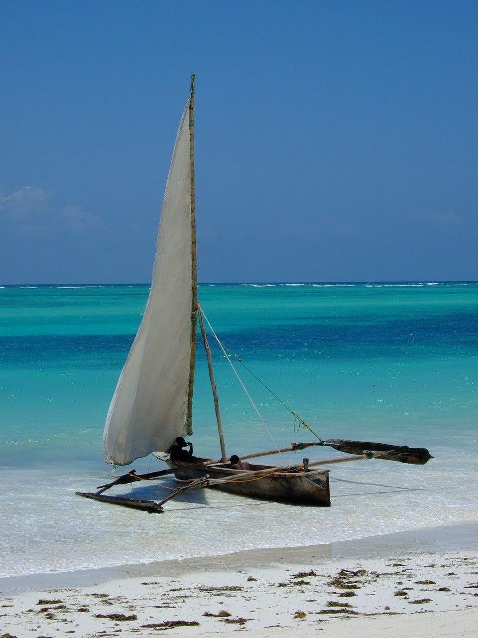 Sérénité tropicale en Tanzanie et Zanzibar